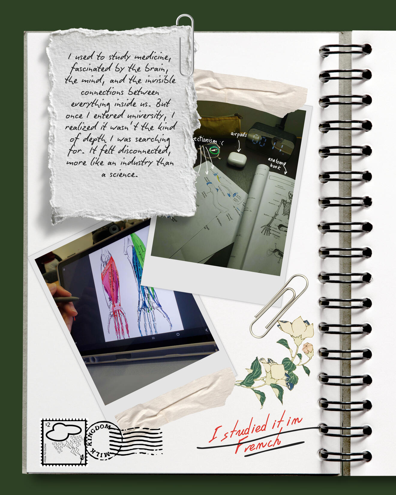 Why Squished Hampter